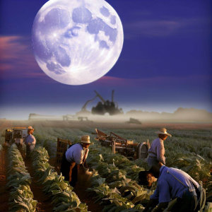 Farmers harvesting under a full moon